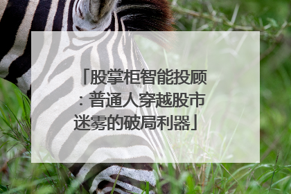 股掌柜智能投顾：普通人穿越股市迷雾的破局利器